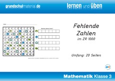 Fehlende Zahlen im ZR1000.pdf